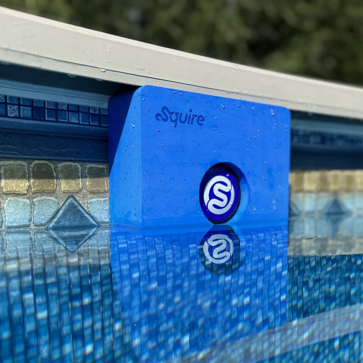 Swimming Pool Cornhole